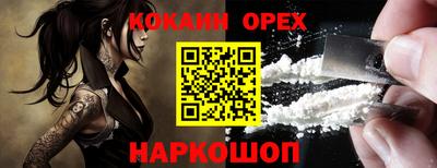 амф Кингисепп