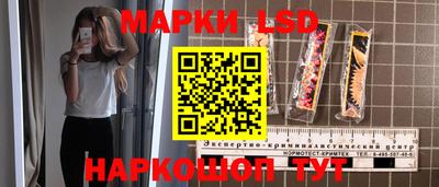 амф Кингисепп