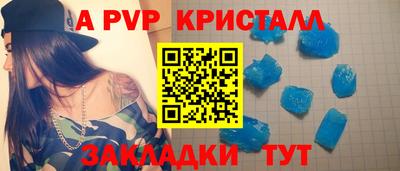 амф Кингисепп