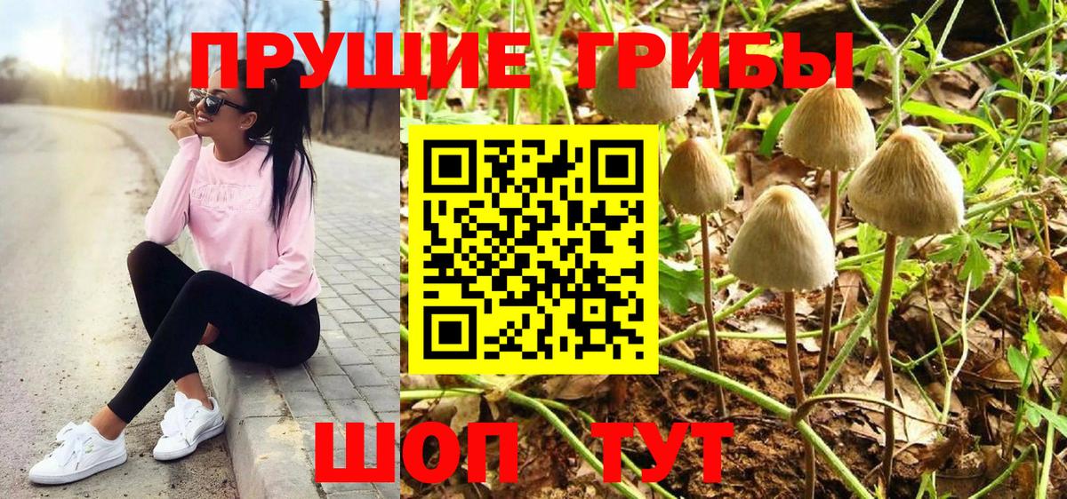 Лангепас  Галлюциногенные грибы GOLDEN TEACHER  Галлюциногенные грибы Magic Shrooms  Вход с VPN 